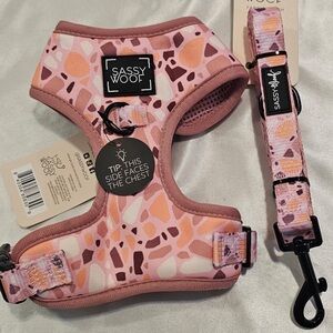 Sassy Woof Terrazzo Harness and Leash Set (XS)